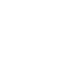 PDF버튼